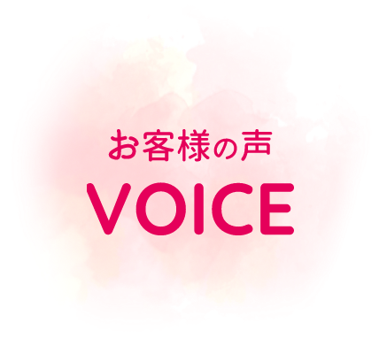 VOICE