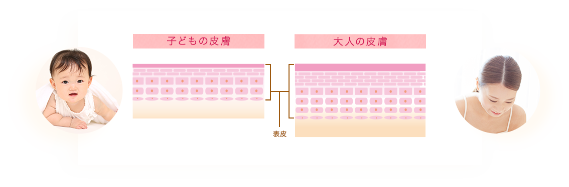 子どもの皮膚・大人の皮膚