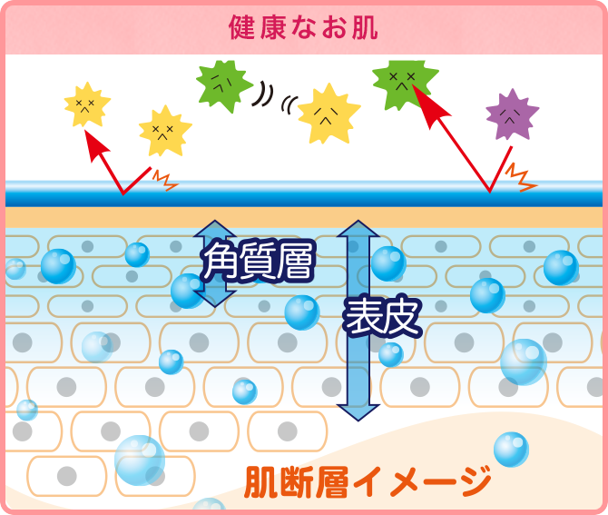 健康なお肌