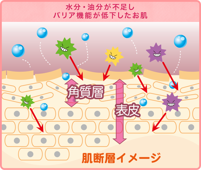 水分・油分が不足しバリア機能が低下したお肌