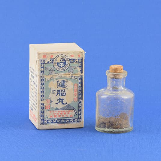発売当初の健脳丸