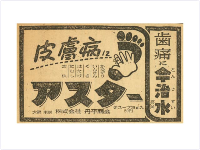 アスター商品画像